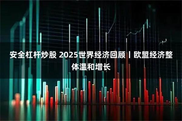 安全杠杆炒股 2025世界经济回顾丨欧盟经济整体温和增长